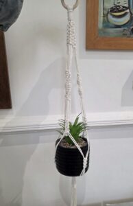 ACAP Made cream macramé plant hanger with a wooden ring and spiral knots, shown hanging on a wall holding a small potted plant (plant pot not included)