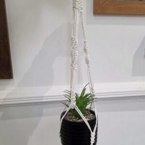 ACAP Made cream macramé plant hanger with a wooden ring and spiral knots, shown hanging on a wall holding a small potted plant (plant pot not included)